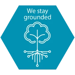 We Stay Grounded